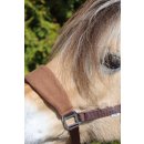 Fleece Halfter braun Pony