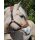 Fleece Halfter braun Pony